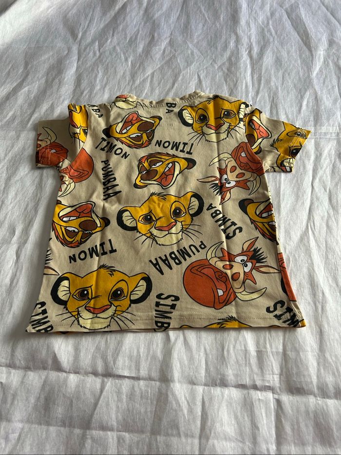 Haut roi lion - photo numéro 4