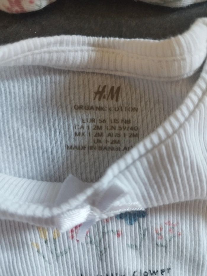 Ensemble été fleuri 1 mois - photo numéro 3