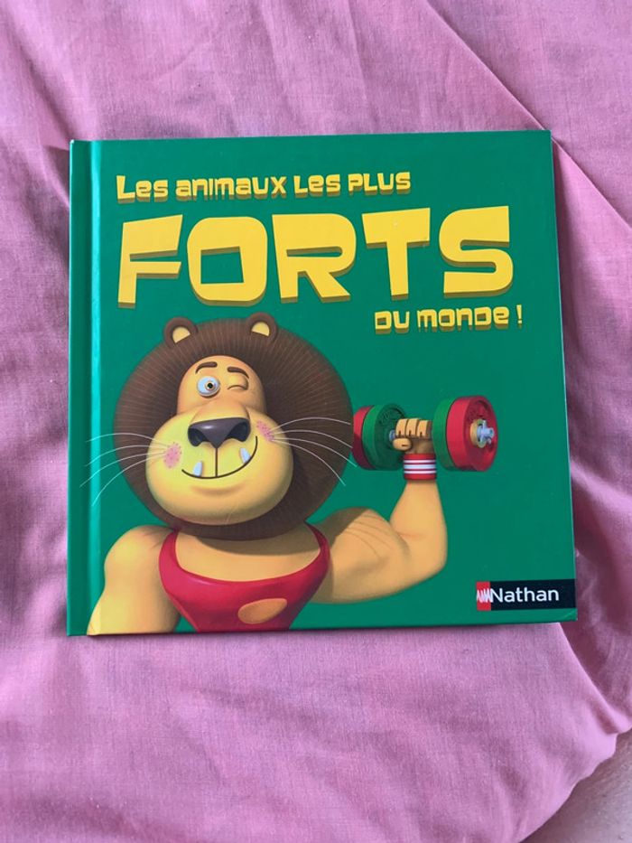 Lot 26 livres pour enfant