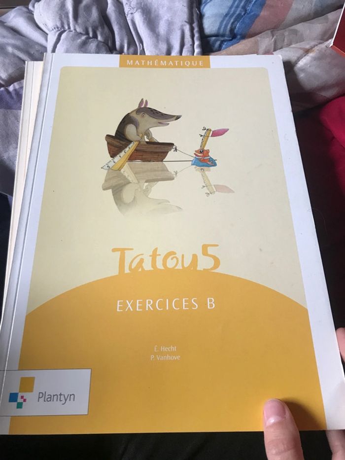 Tatou 5 math plantyn - photo numéro 5
