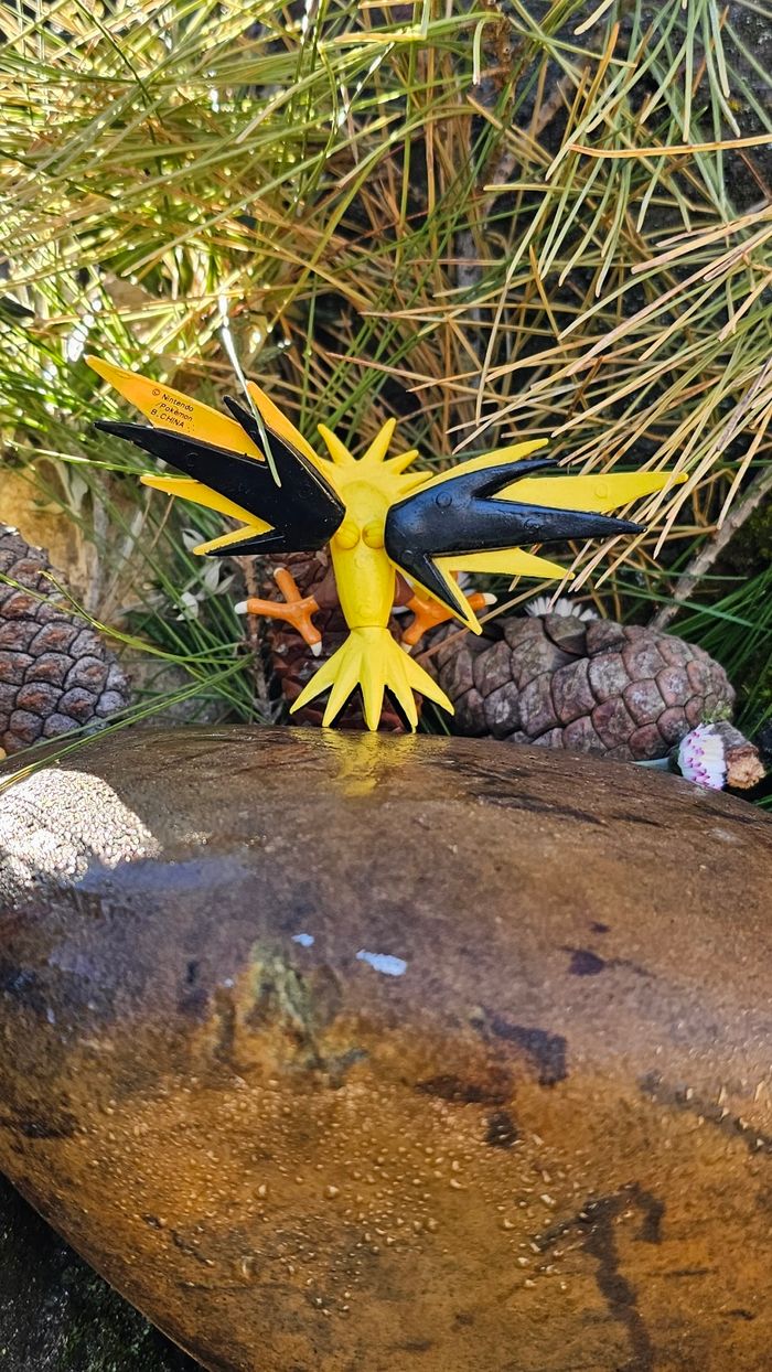 Super figurine Pokemon Nintendo Elector - photo numéro 6