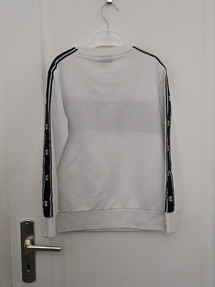 Pull champion - photo numéro 5