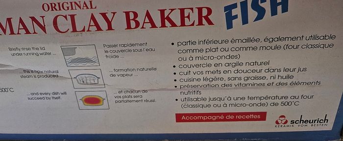 Plat en forme de poisson - photo numéro 8