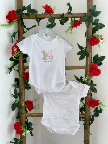 Lot 2 body