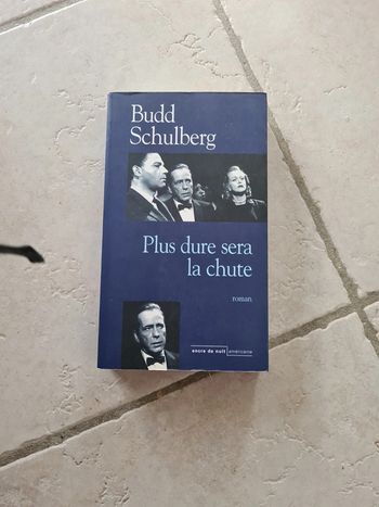 Plus dure sera la chute