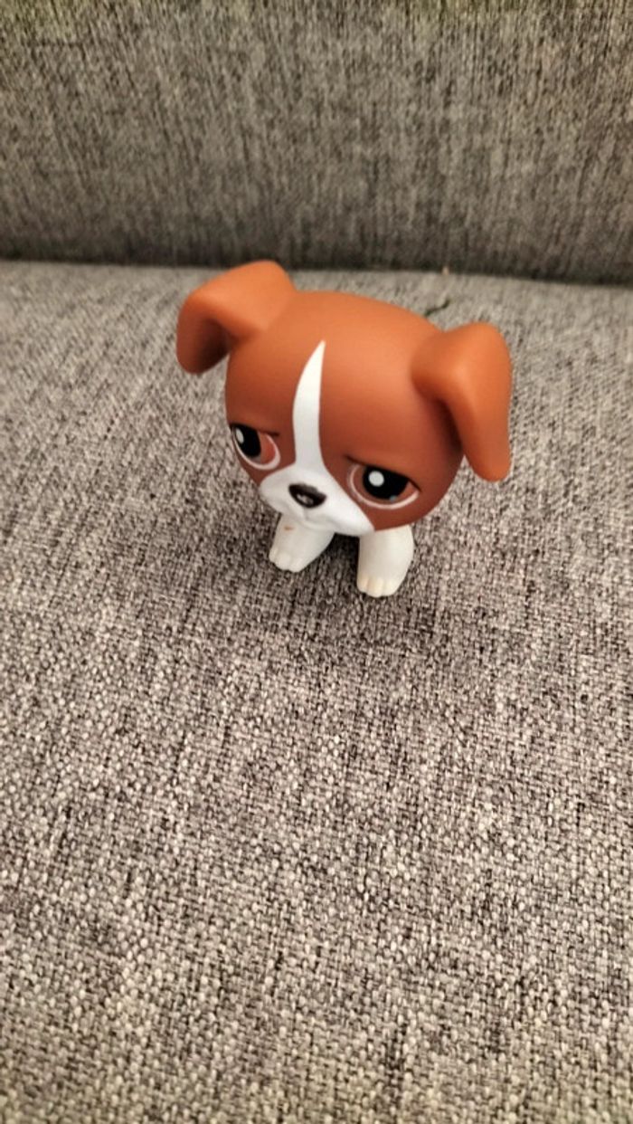 Lot de 8 Petshops - photo numéro 3