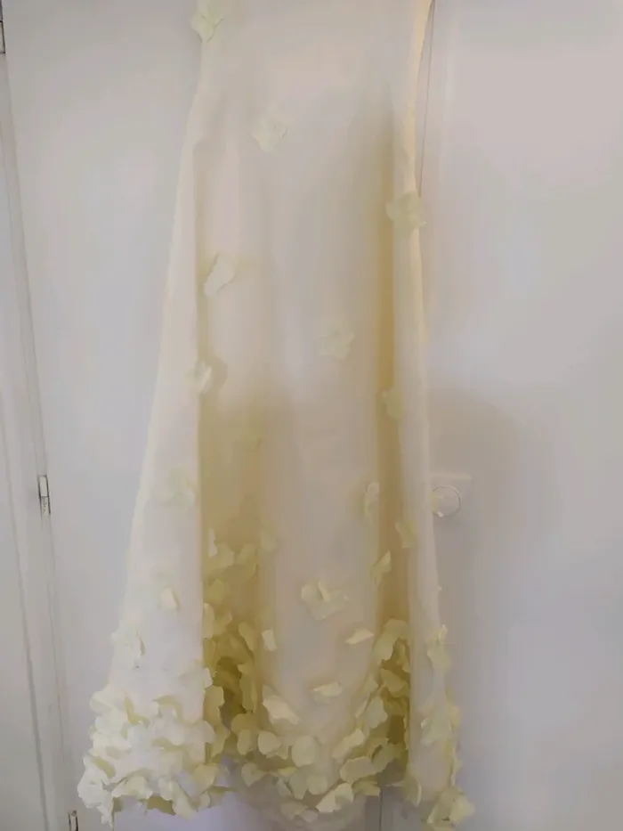 Robe bustier pronuptia - photo numéro 5