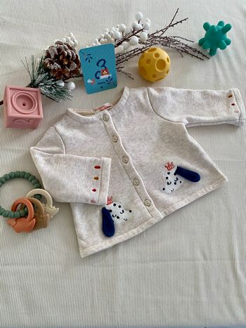 Veste / gilet du pareil au même