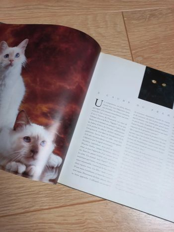 Histoire secrète du chat