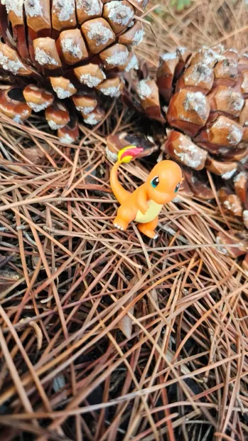 Super figurine Pokemon Nintendo Salameche