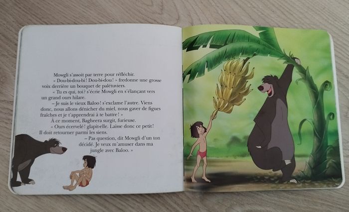 Livre le livre de la jungle - photo numéro 7