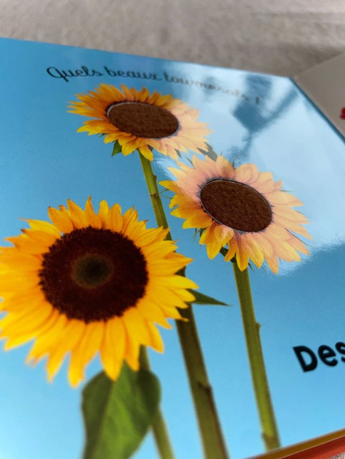 Livre à toucher à la campagne - photo numéro 8