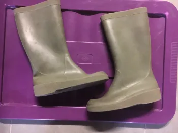 Bottes