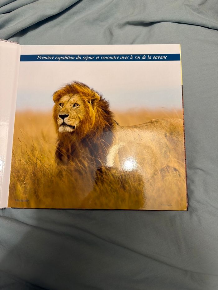 Notre safari en Tanzanie - photo numéro 4