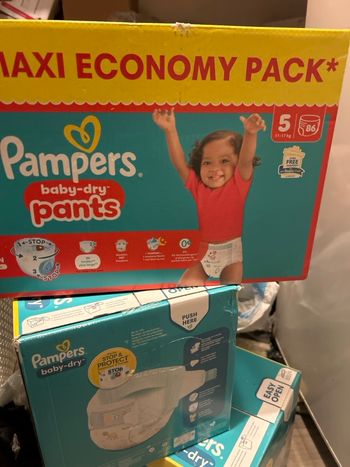 Pampers pants t5