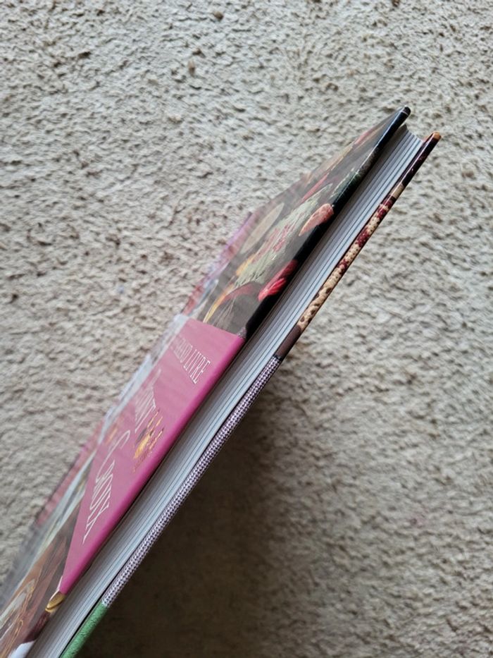 Lot de 2 livres de créations au point de croix DMC - Parfait état - photo numéro 4