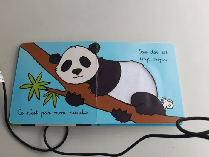 Livre ou est mon panda - photo numéro 3