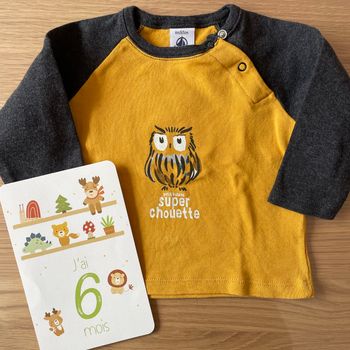 Tee shirt manches longues Petit Bateau