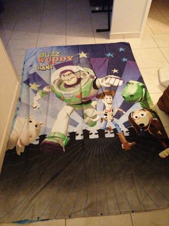 Housse de couette+taie d'oreiller