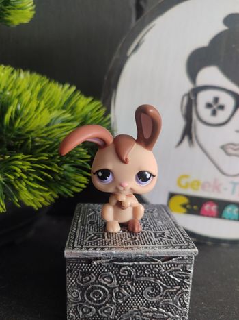 Lps0890 My Littlest Petshop Pet Shop LPS Hasbro bunny Lapin Garenne Rabbit 1089