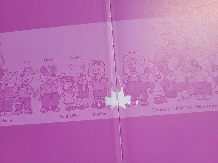 Livre Mini-Loup, tome 19 🎠Mini-loup au carnaval 🎠- photo numéro 3