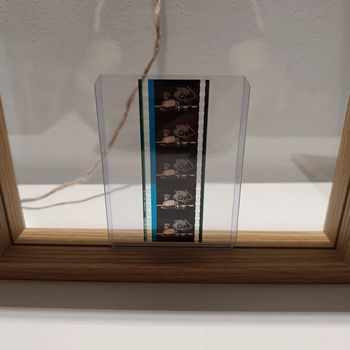 Pellicule démon slayer inosuke et zenitsu