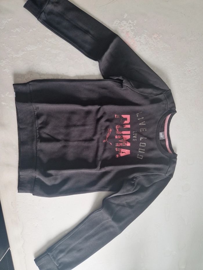 Pull puma - photo numéro 2