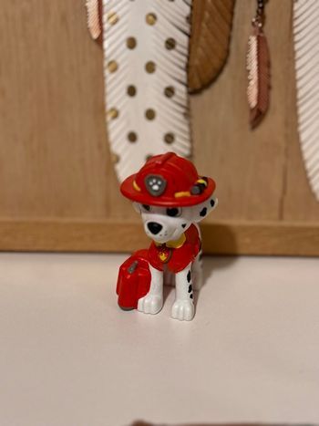 Tonie Marcus pat patrouille 