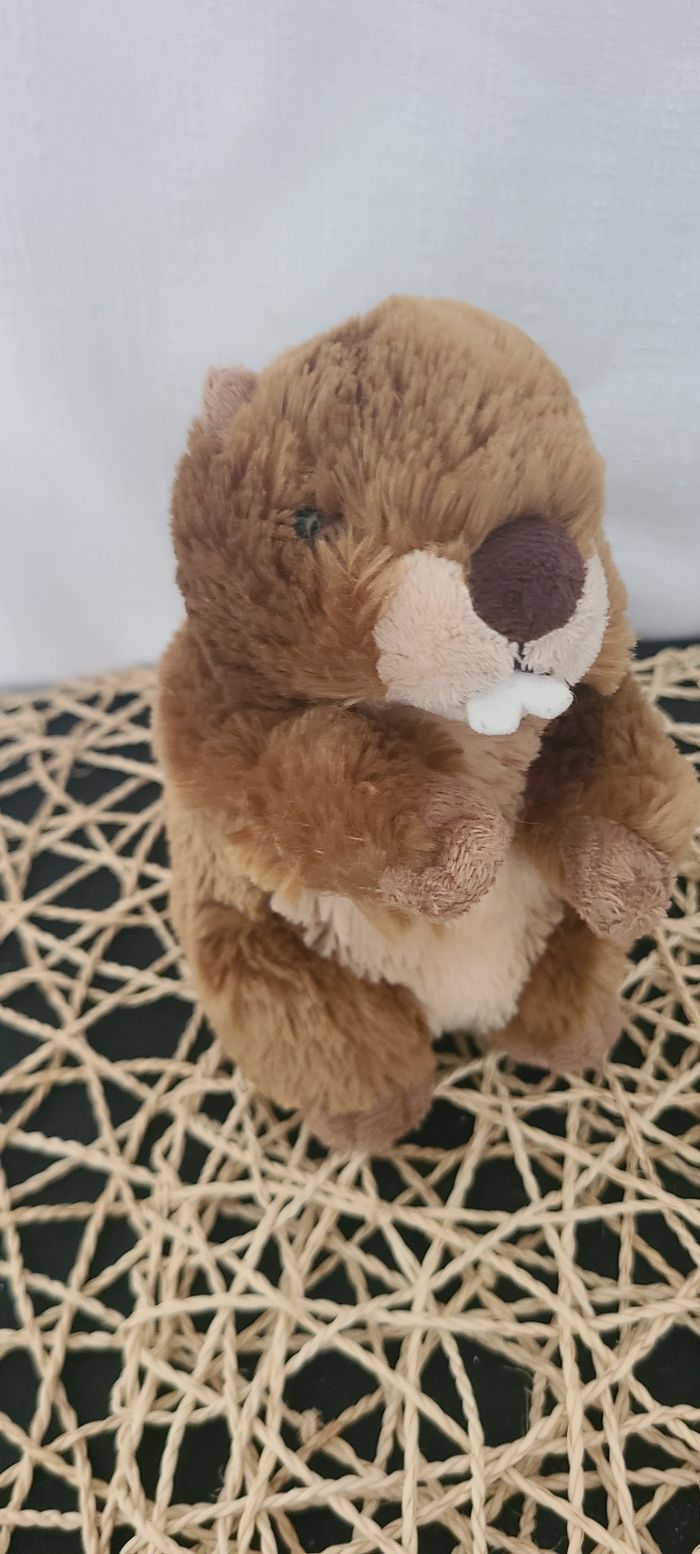 MARMOTTE DANI DOUDOU MARRON PELUCHE