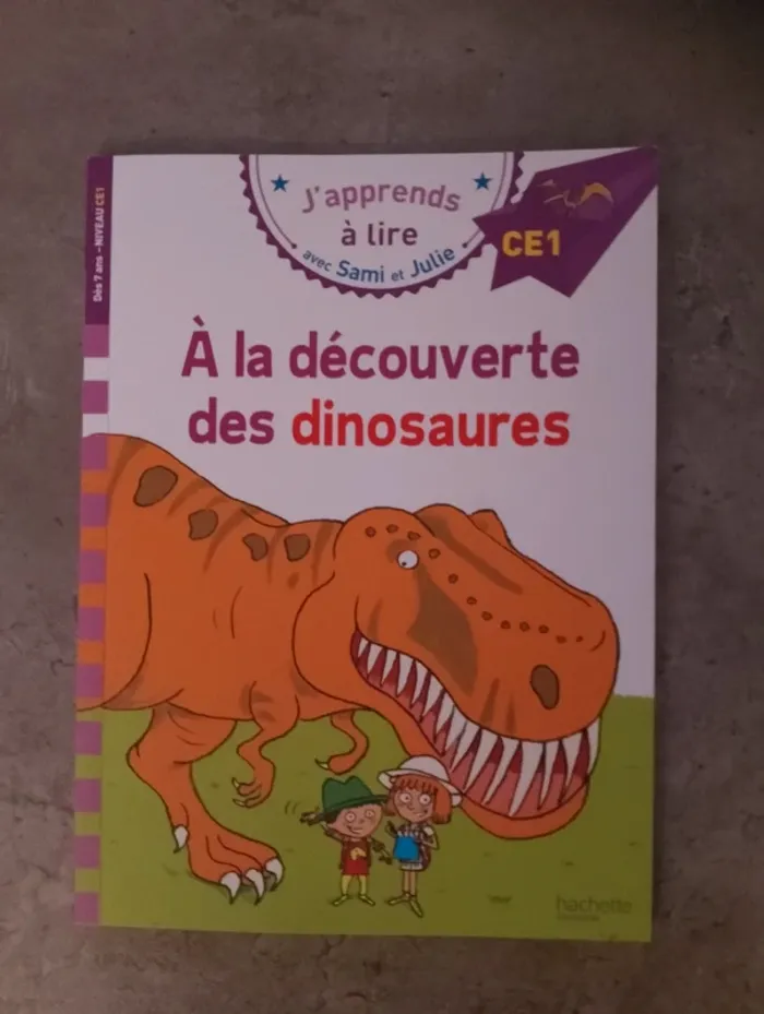 Lot de 3 livres "Sami et Julie" - CE1 - photo numéro 3