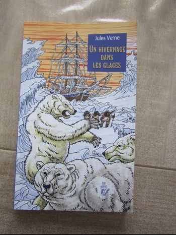 Livre "Un hivernage dans les glaces" de Jules Verne