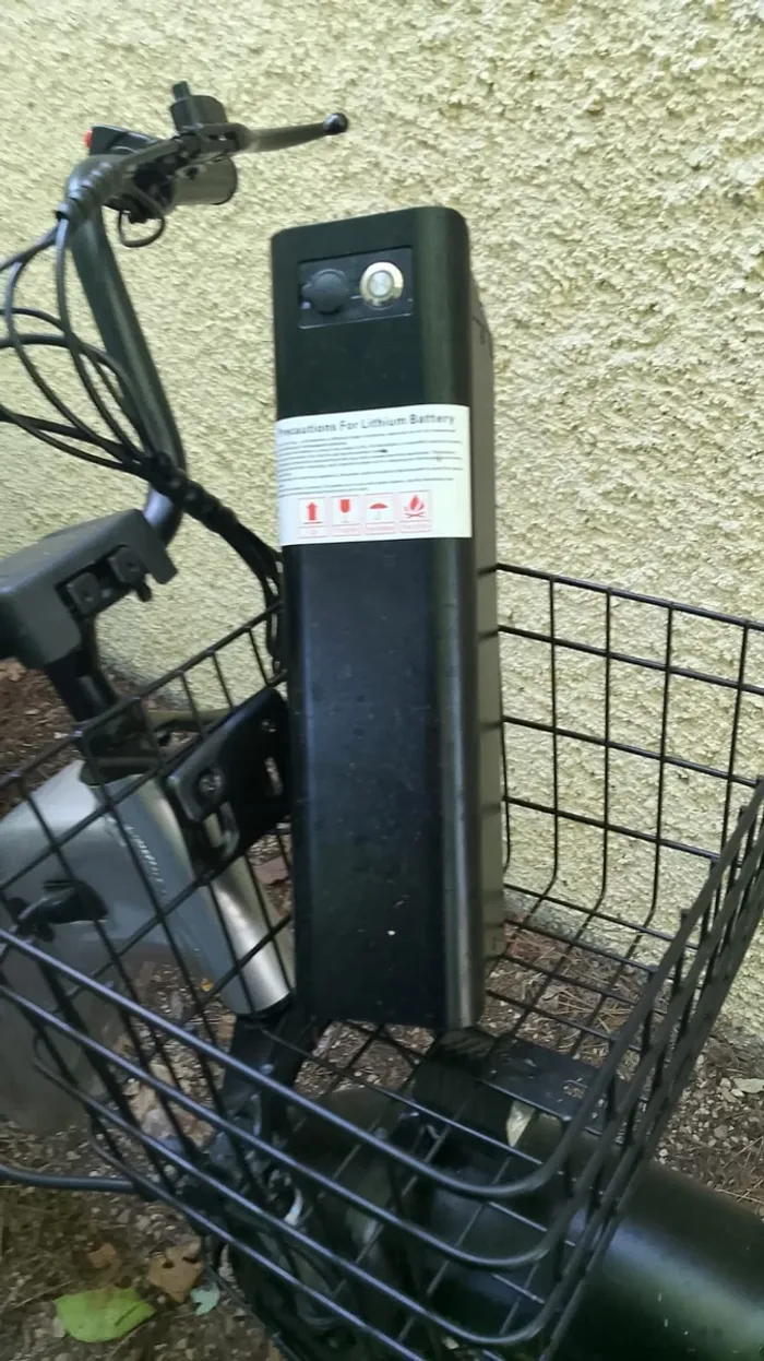 tricycle adulte - photo numéro 8