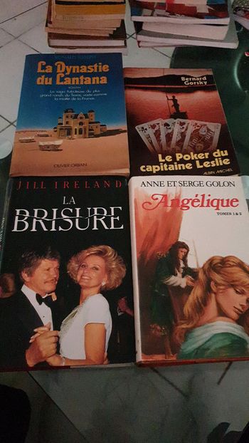 Lot de 4 romans