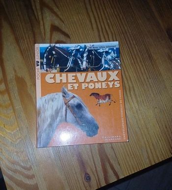 Livre Chevaux et poneys