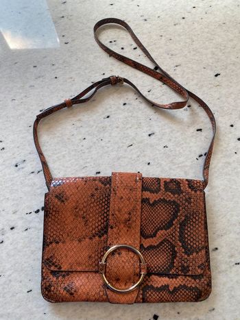 Sac style serpent Mango