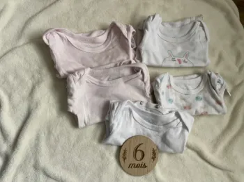 lot 5 bodies 6m