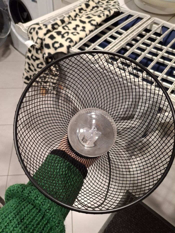 Lampe industriel - photo numéro 2