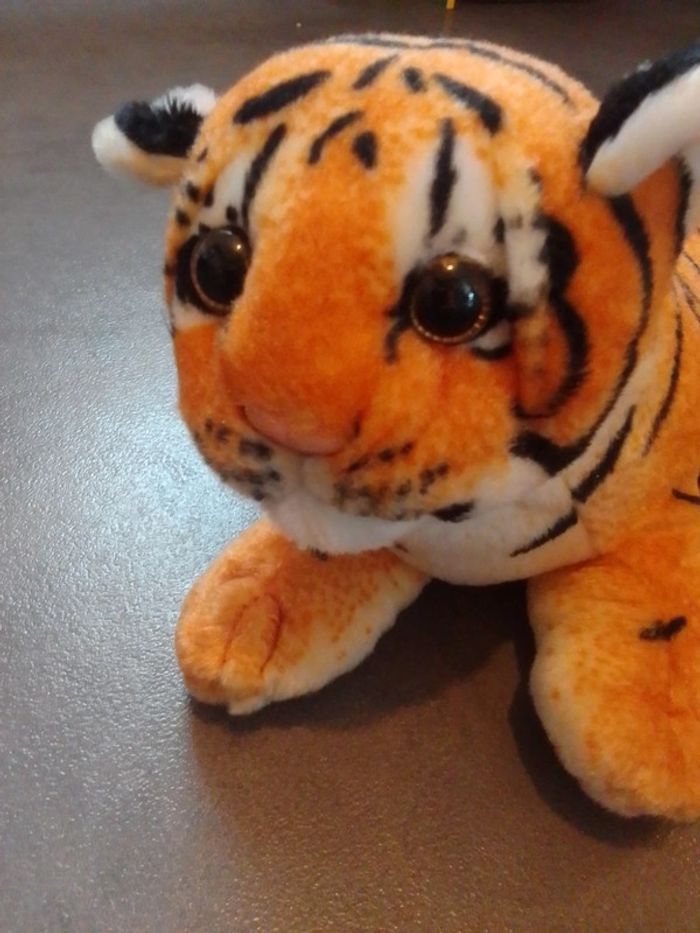 Tigre - photo numéro 2