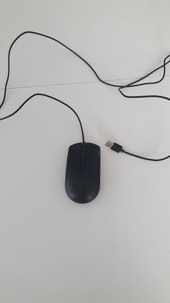 A donner dans un lot : souris d'ordinateur