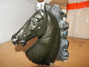 tête de cheval
