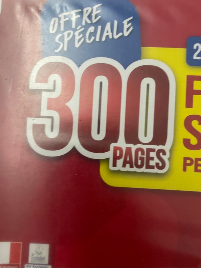 Lot feuilles simples 300 feuilles grands carreaux - photo numéro 4