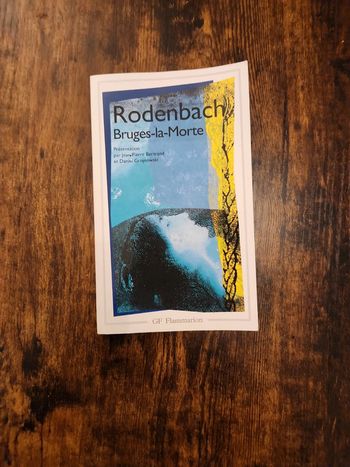 Livre : Bruges-la-Morte