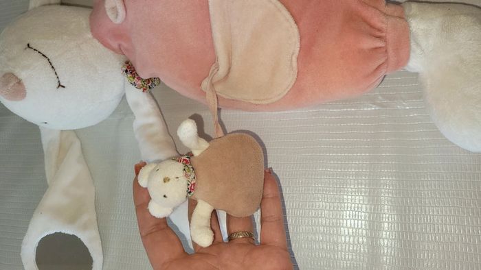 Peluche d activité - photo numéro 6
