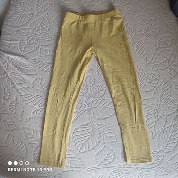 Legging