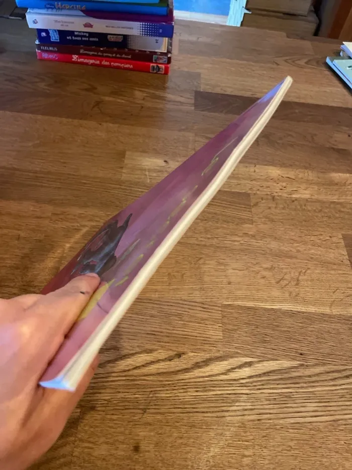 Livre L’école des Max Le secret - photo numéro 5