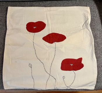 housse de coussin neuve