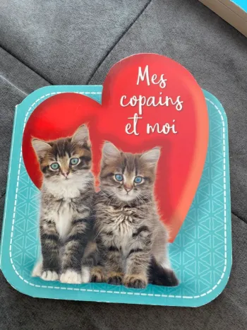 Livre les copains et moi pages cartonnées