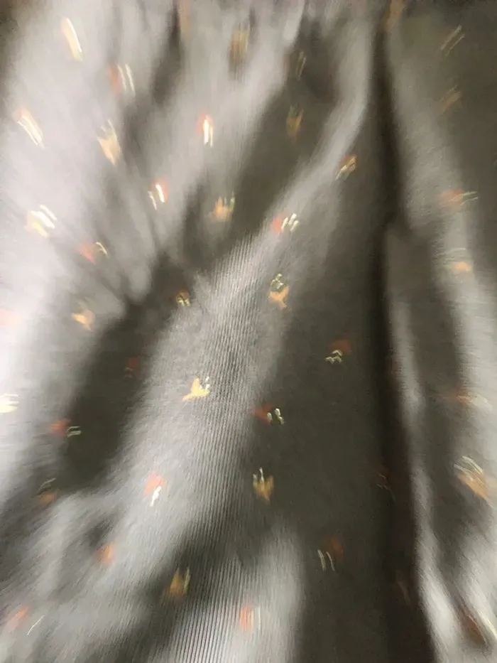 Robe d’automne - photo numéro 2