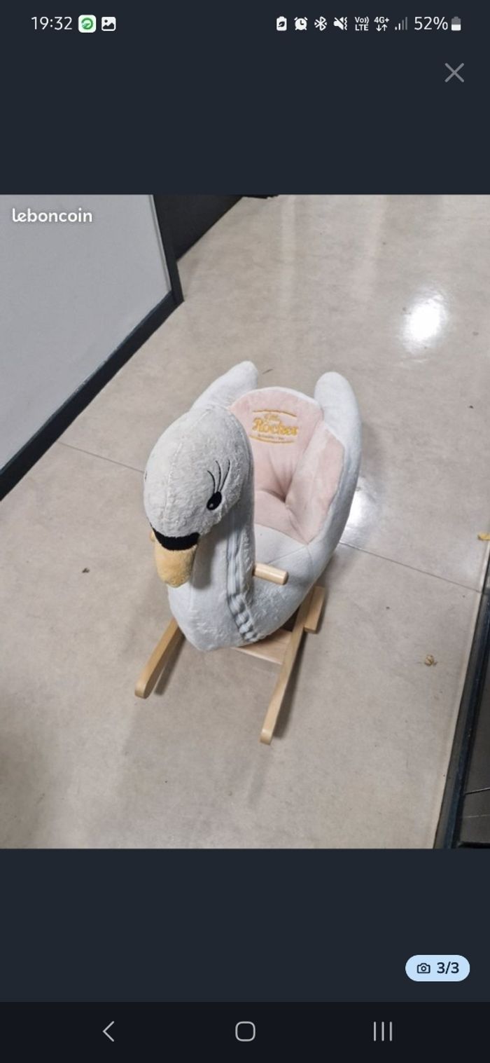 Canard a bascule - photo numéro 3