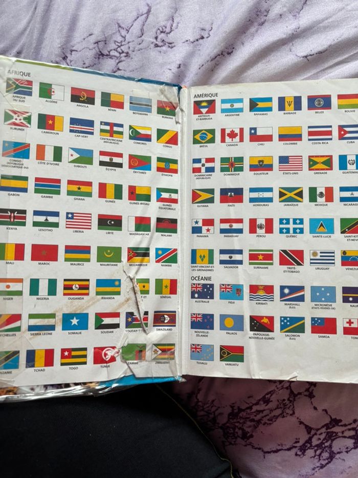Dictionnaire CE/CM - photo numéro 4